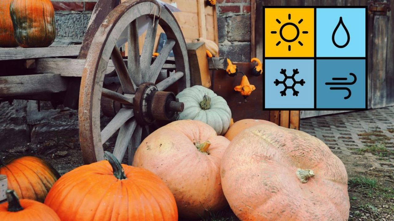 Tennessee Valley Weather Alert Warm Thanksgiving Followed by Colder December Across Alabama and Kentucky