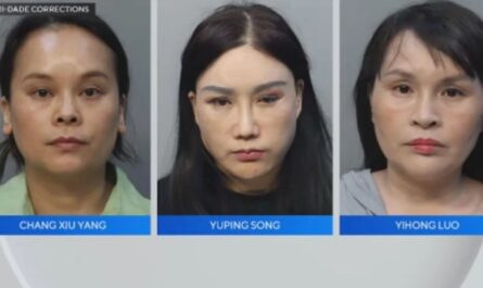 Three Women Arrested in Undercover Prostitution Sting at Miami-Dade Massage Parlors