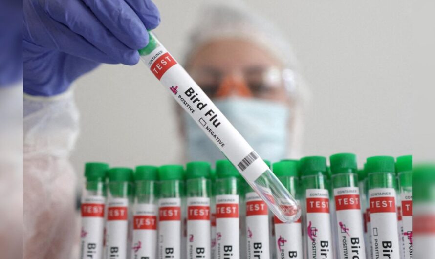 Washington Reports First Human Case of H5N5 Bird Flu Virus: What You Need to Know