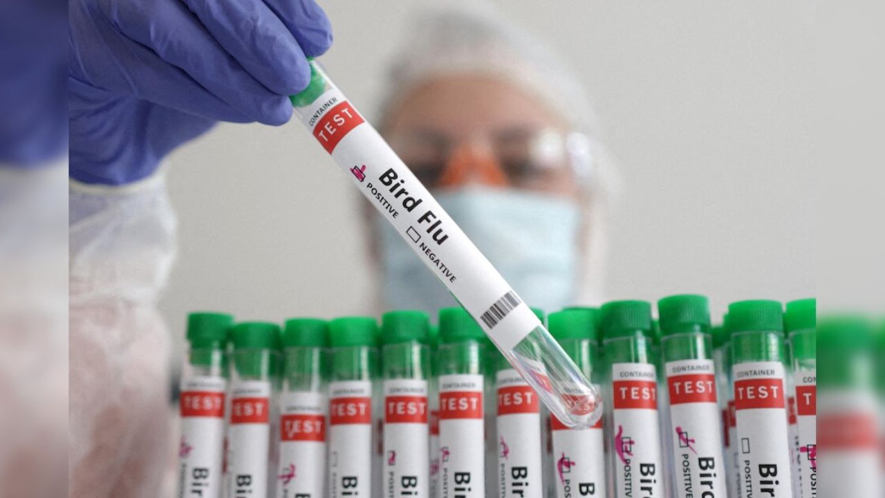 Washington Reports First Human Case of H5N5 Bird Flu Virus What You Need to Know