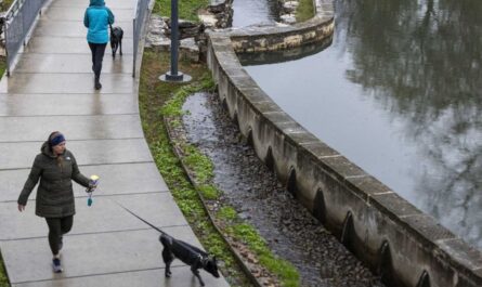 Arctic Cold Front Brings Chilly Weekend to Texas, But Warm Trend Returns for Christmas Week (1)