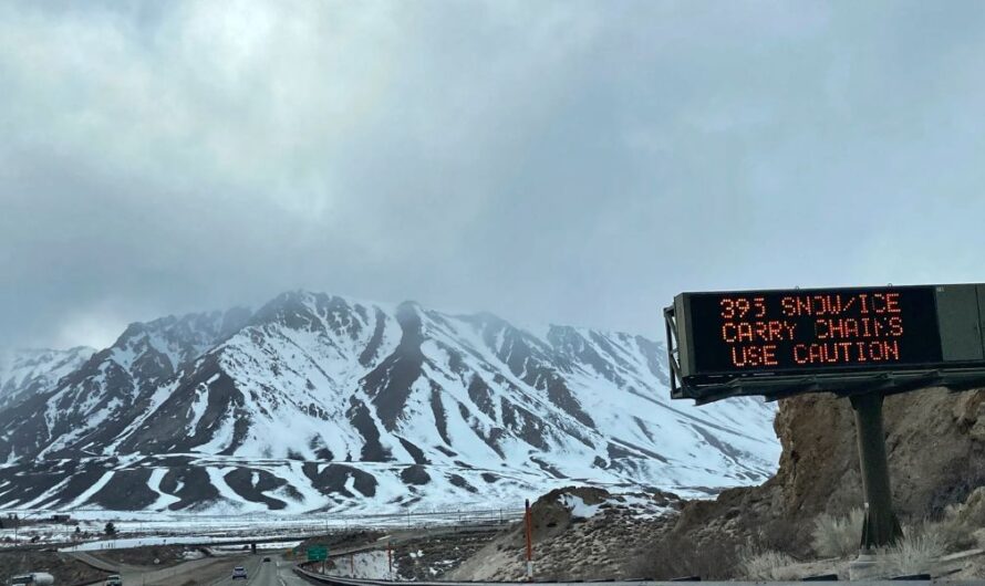 Southern California Enjoys Warm December Weather Before Cooler Weekend Temperatures